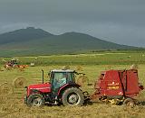 Farming 8W92D-01